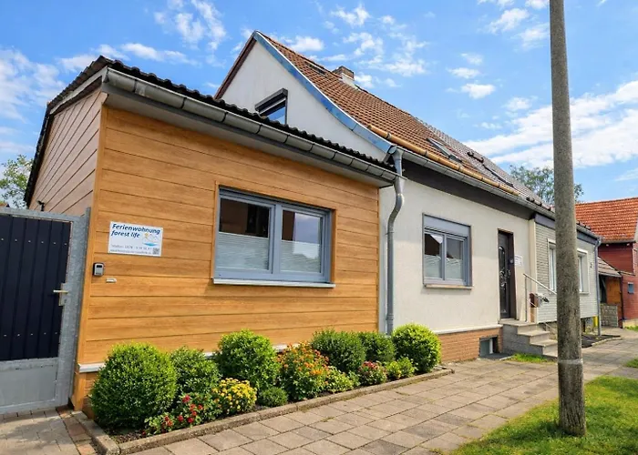 Forest Life Ferienhaus